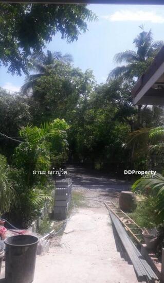 บ้านแฝด!!!ชั้นเดียว ใหม่เอี่ยม ให้เช่าบรรยากาศในสวน ร่มรื่น (บางปลารีสอร์ท) พร้อมเฟอร์นิเจอร์50ตรว. อ.บางเลน จ.นครปฐม